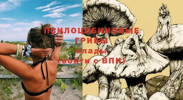 трава Баксан