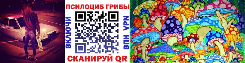 Псилоцибиновые грибы GOLDEN TEACHER  KRAKEN зеркало  Севск  даркнет сайт 